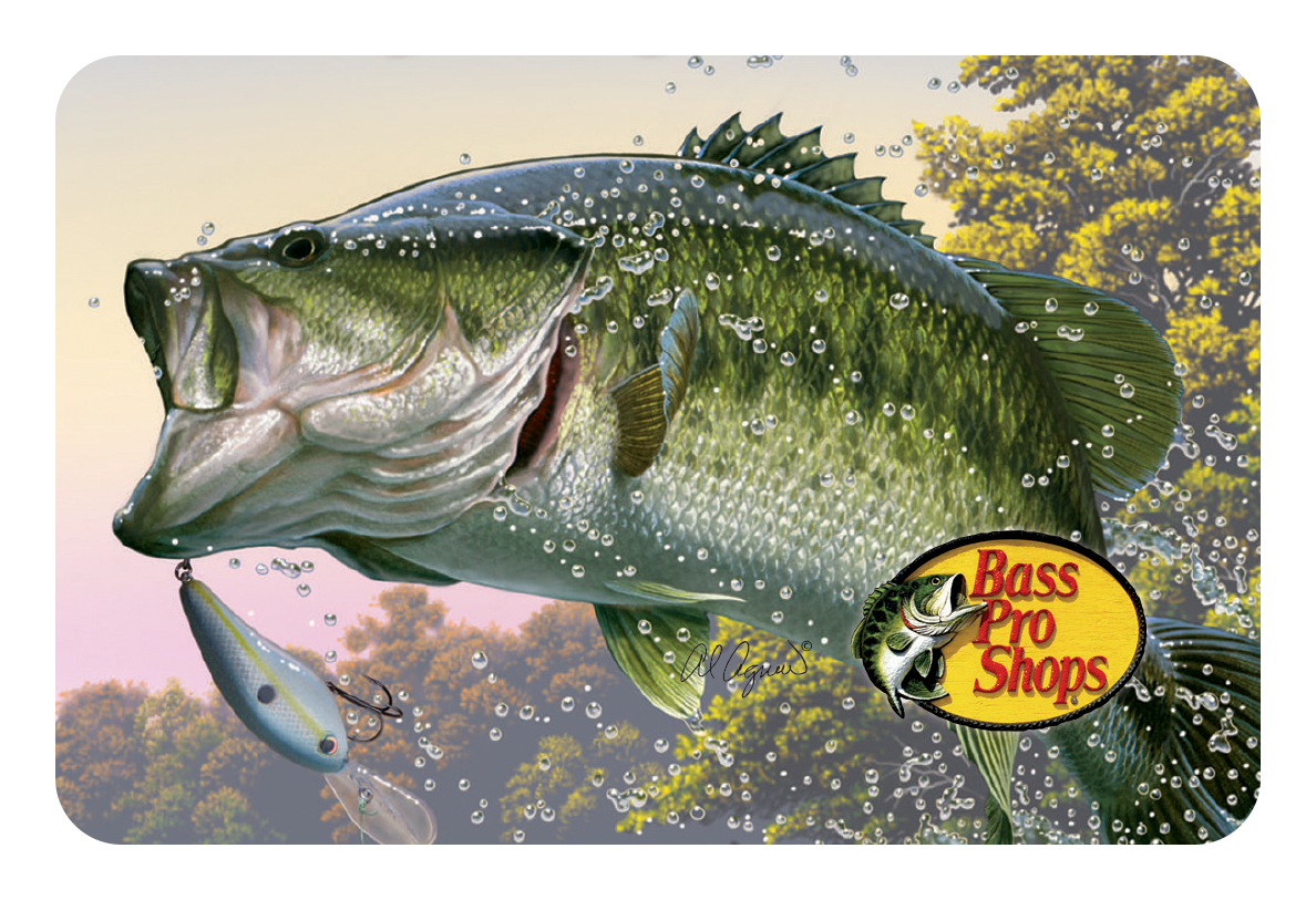 Bass Pro Shops Fishing Gift Card | Bass Pro Shops